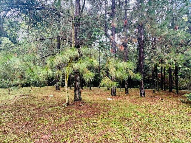 Terreno para Venda em Botucatu - 3