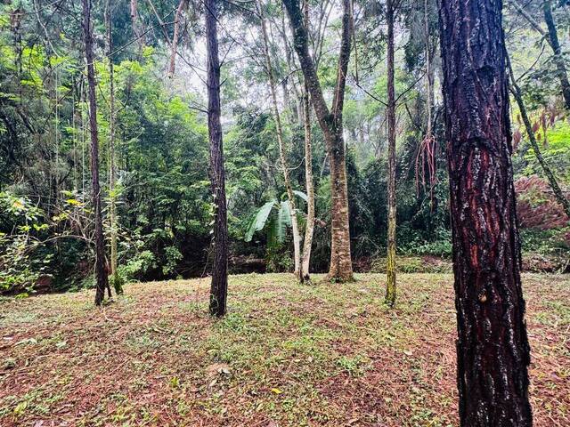 Terreno para Venda em Botucatu - 5